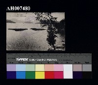 藏品(日月潭風景明信片：浮島)的圖片